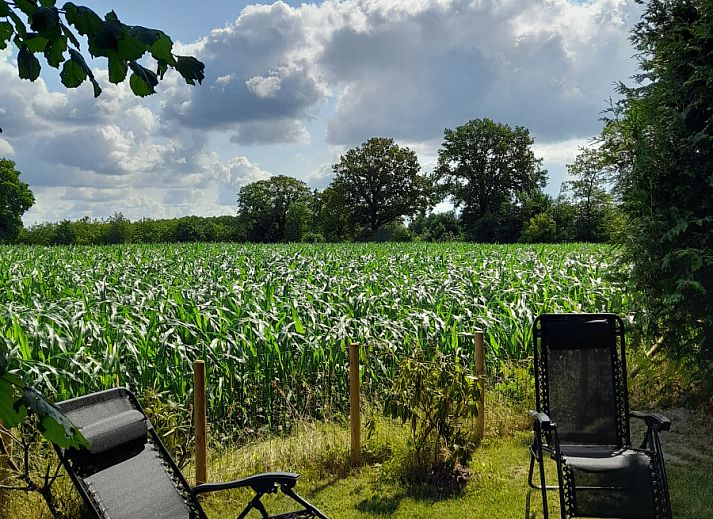 Unterkunft 550915 - Ferienhaus Noordwest Overijssel - OV707