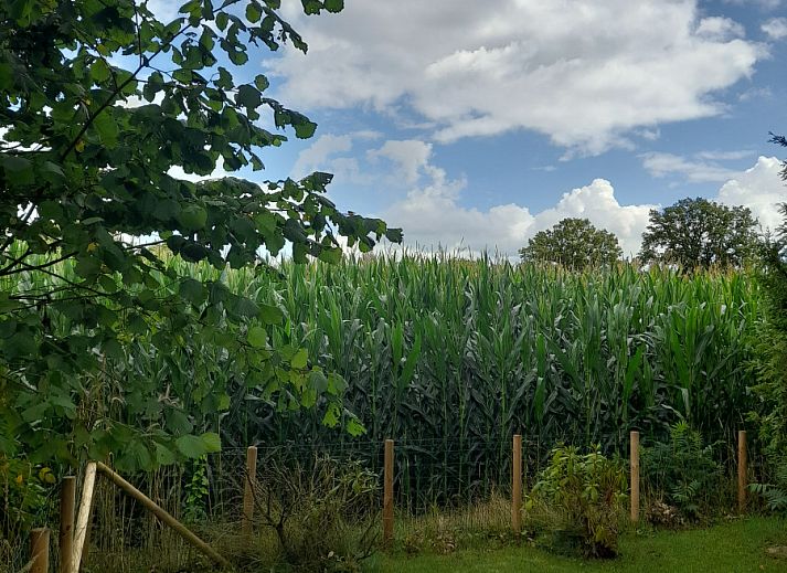 Unterkunft 550915 - Ferienhaus Noordwest Overijssel - OV707