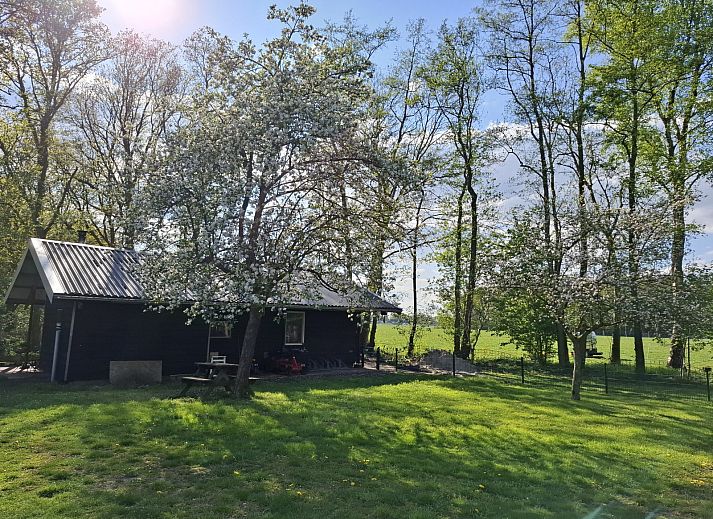 Gezellige binnenruimte van OV681 vakantiehuis in Steenwijk met comfortabele zithoek, Overijssel.