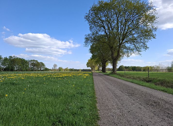 Moderne badkamer in OV681 vakantiehuis in Steenwijk, voorzien van douche en wastafel, Overijssel.