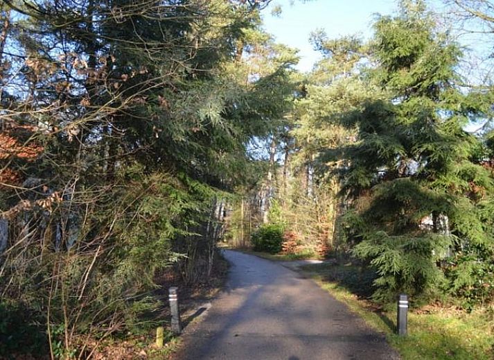 Treppe mit Holzgelaender in einem Ferienhaus in IJhorst, Nordwest Overijssel.