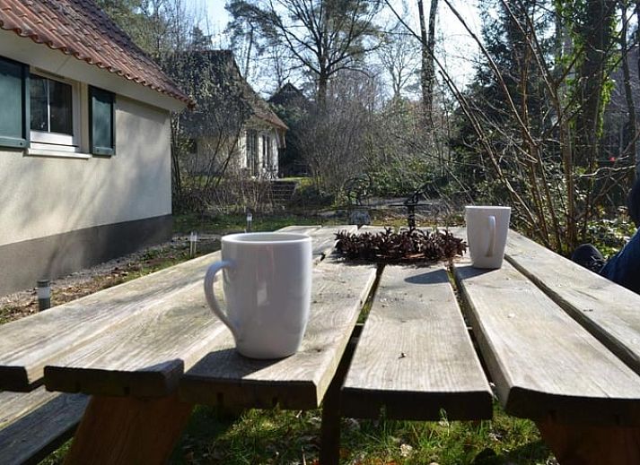 Gemuetliches Schlafzimmer mit offenem Fenster in einem Ferienhaus in IJhorst, Overijssel.