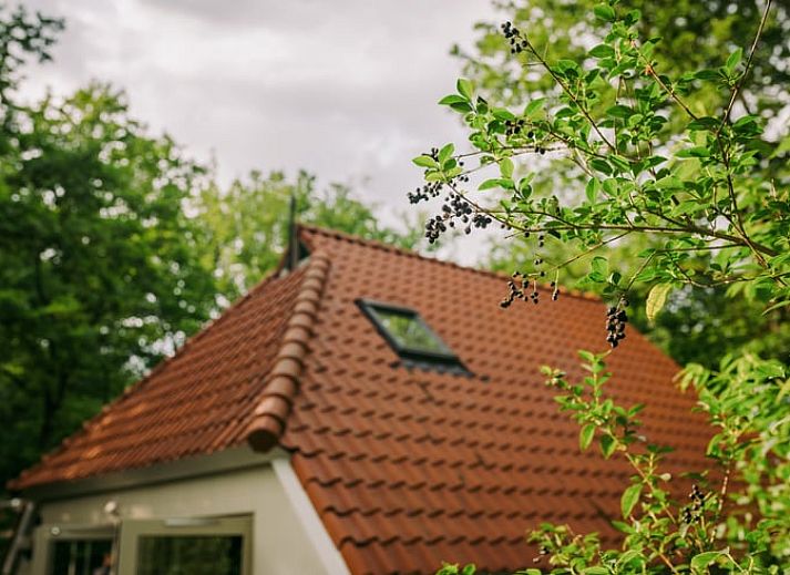 Unterkunft 551406 - Ferienhaus Noordwest Overijssel - Huisje in IJhorst