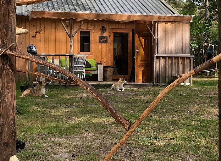 Cottage in IJhorst, Ferienhaus in Nordwest-Overijssel mit hoelzernem Aussenbereich, umgeben von viel Gruen.