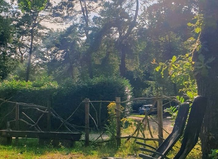 Natuerliche Umgebung des Ferienhauses in IJhorst, gelegen in Nordwest Overijssel, Overijssel.