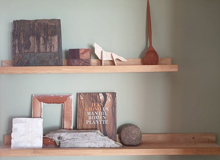 Natuerliche Umgebung des Ferienhauses in IJhorst, gelegen in Nordwest Overijssel, Overijssel.