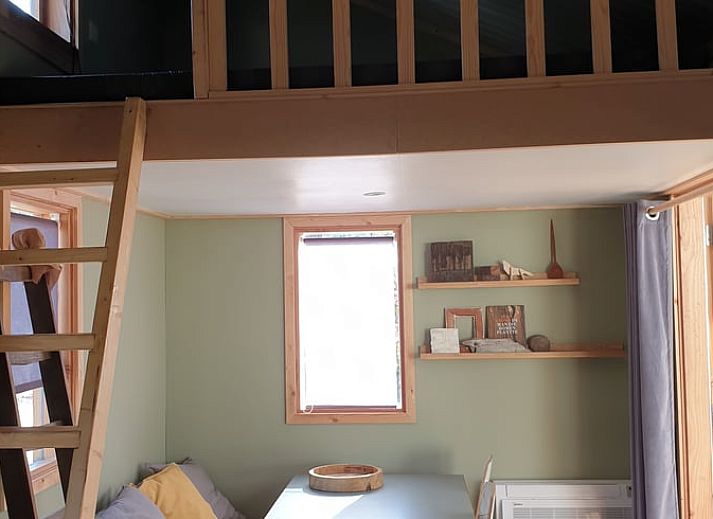 Gemuetliche Terrasse im Cottage in IJhorst, Ferienhaus in Nordwest Overijssel, Overijssel.