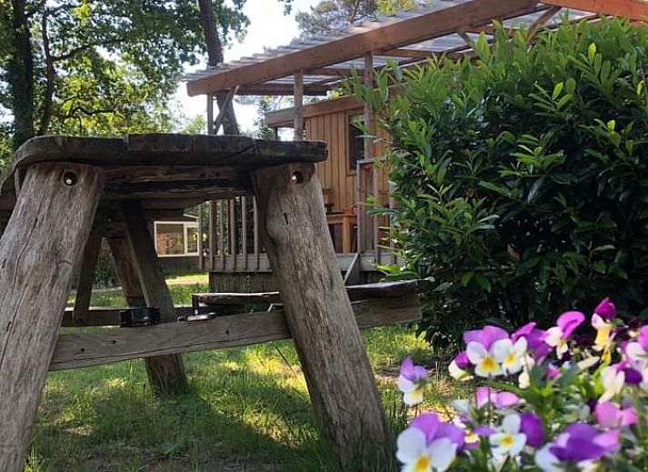 Veranda von Cottage in IJhorst, Ferienhaus im Nordwesten von Overijssel, umgeben von Baeumen.
