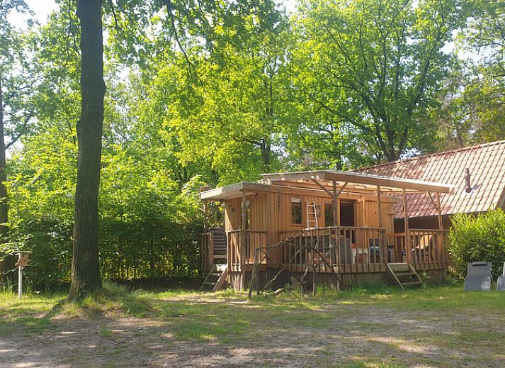 Veranda von Cottage in IJhorst, Ferienhaus im Nordwesten von Overijssel, umgeben von Baeumen.