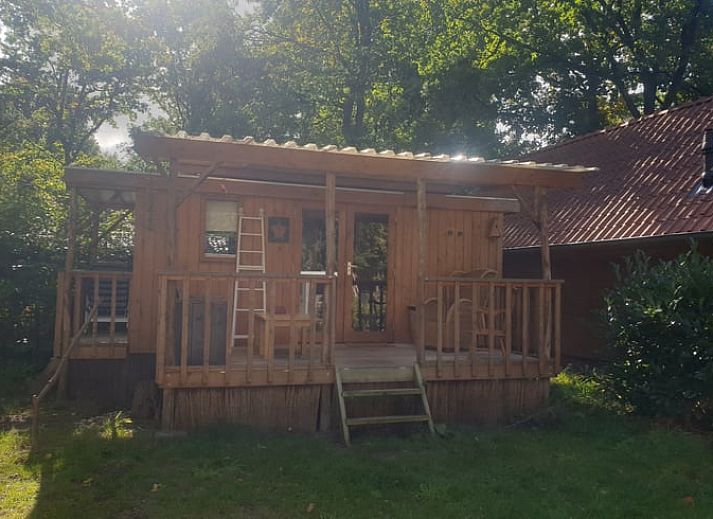 Veranda von Cottage in IJhorst, Ferienhaus im Nordwesten von Overijssel, umgeben von Baeumen.