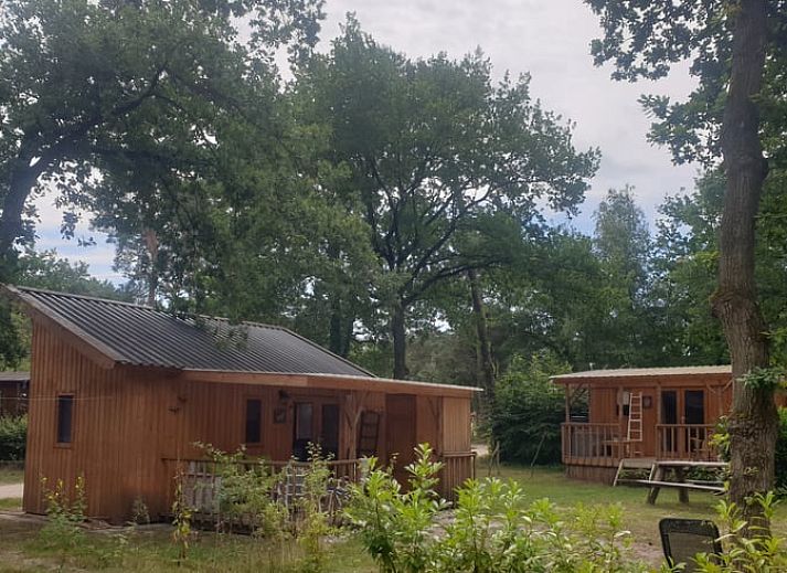 Rustikaler Picknicktisch am Ferienhaus in IJhorst, Overijssel, mit bunten Blumen.
