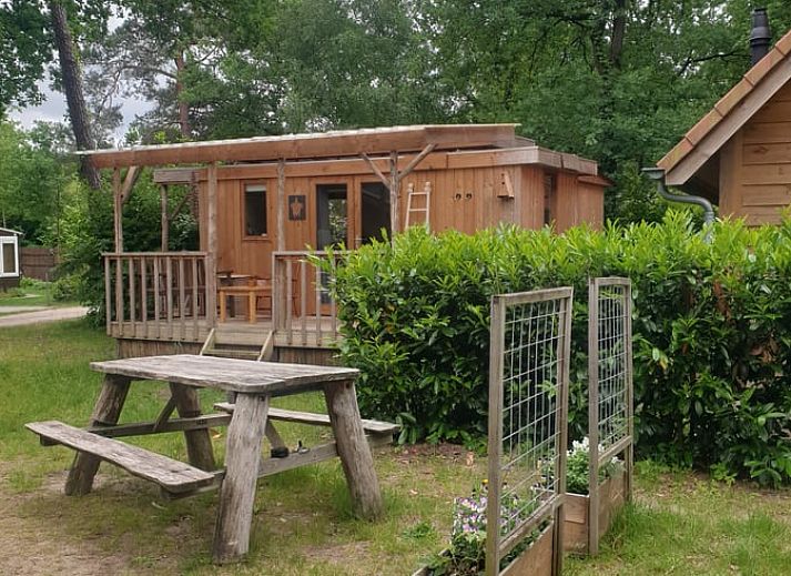Rustikaler Picknicktisch am Ferienhaus in IJhorst, Overijssel, mit bunten Blumen.