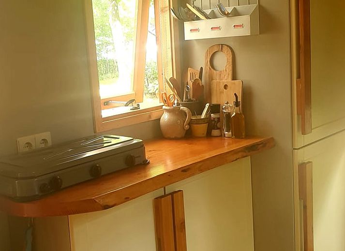 Cottage in IJhorst, charmantes Ferienhaus in Overijssel, umgeben von gruener Natur.