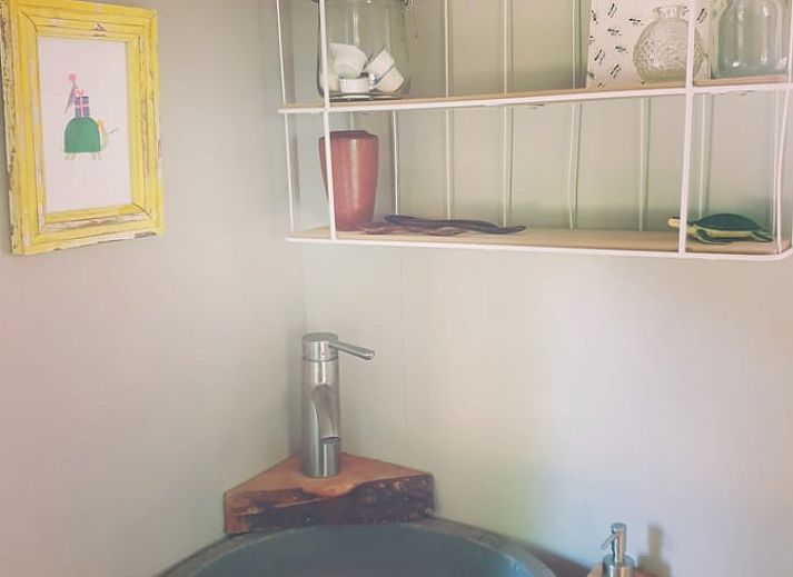 Cottage in IJhorst, charmantes Ferienhaus in Overijssel, umgeben von gruener Natur.