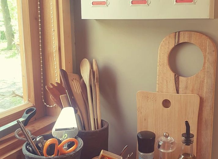 Cottage in IJhorst, charmantes Ferienhaus in Overijssel, umgeben von gruener Natur.