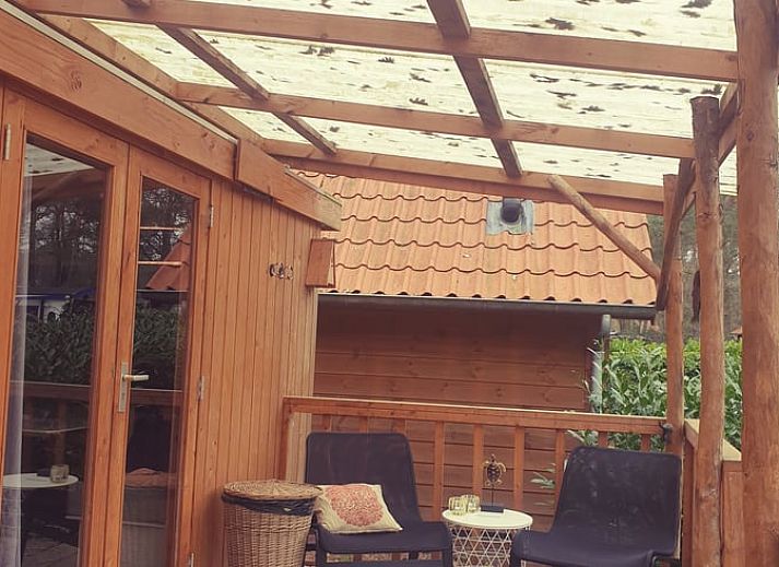 Zwei Holzferienhaeuser in IJhorst, Overijssel, umgeben von Waeldern.