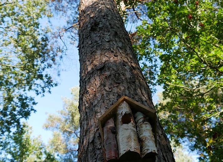 Comfortable sitting area in Cottage in IJhorst, with large windows and views of the wooded area.