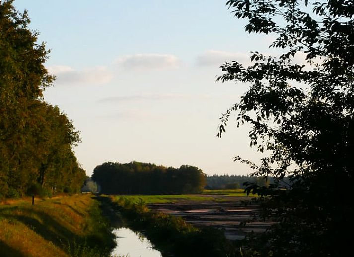 Comfortable sitting area in Cottage in IJhorst, with large windows and views of the wooded area.