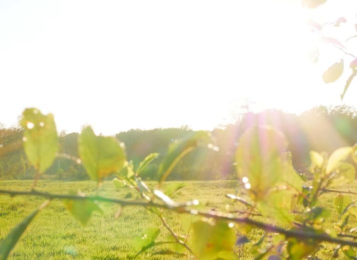 Comfortable sitting area in Cottage in IJhorst, with large windows and views of the wooded area.