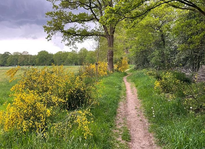 Modern kitchen in Holiday Home in IJhorst, Northwest Overijssel, equipped with stylish tile wall and modern appliances.
