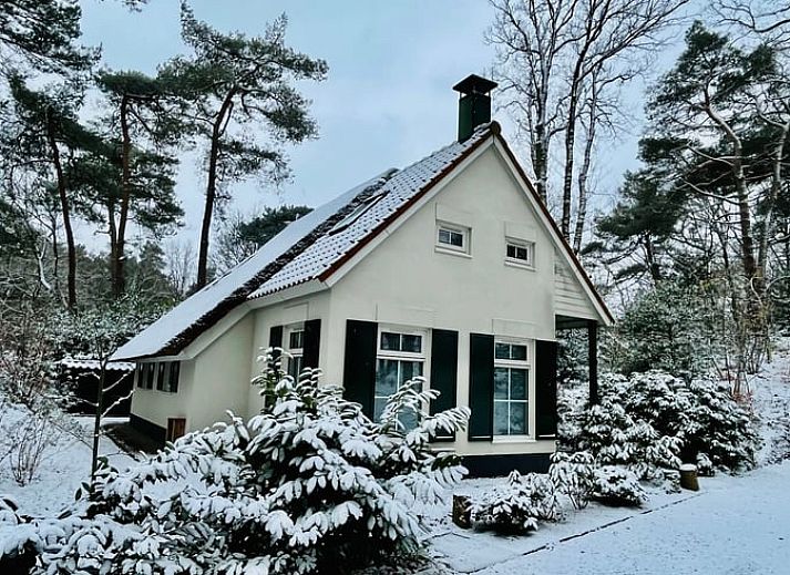 Ferienhaus in IJhorst mit Reetdach inmitten der Natur, ideal fuer einen rustikalen Aufenthalt in Nordwest-Overijssel.