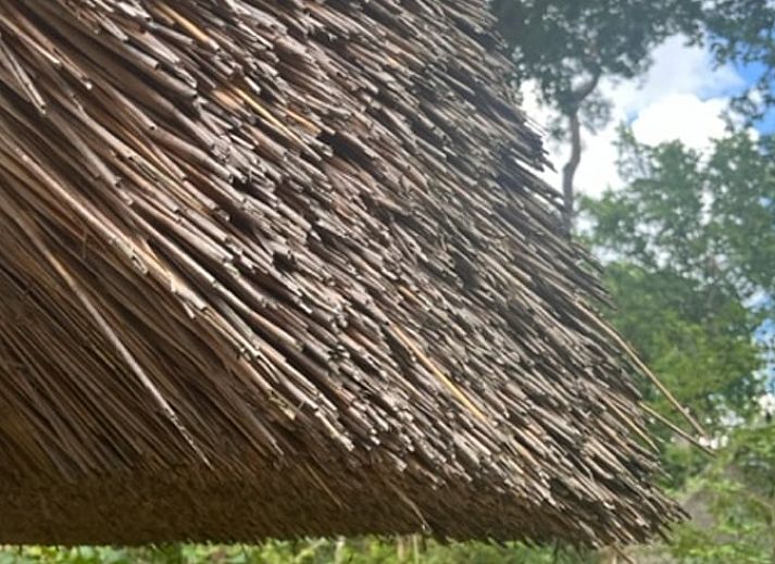 Ferienhaus in IJhorst mit Reetdach inmitten der Natur, ideal fuer einen rustikalen Aufenthalt in Nordwest-Overijssel.