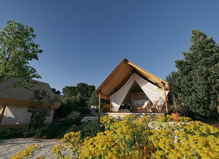 Unterkunft 551432 • Zelthaus Noordwest Overijssel • Glampingtent
