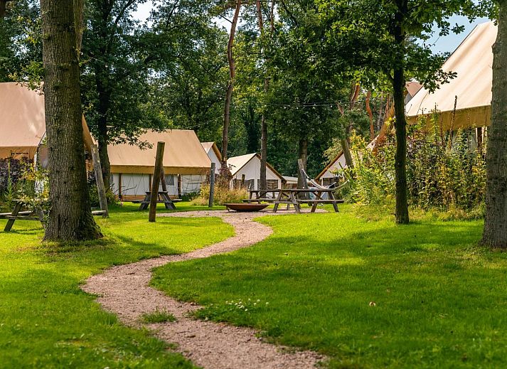 Unterkunft 551433 - Zelthaus Noordwest Overijssel - Glampingtent