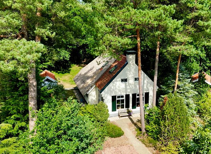 Luchtfoto van Vakantiehuisje in IJhorst, omringd door groen in Noordwest Overijssel, Overijssel.