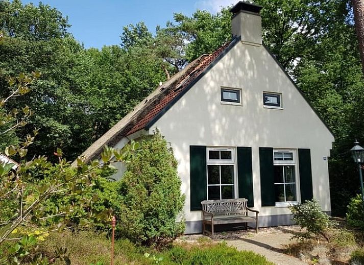 Luchtfoto van Vakantiehuisje in IJhorst, omringd door groen in Noordwest Overijssel, Overijssel.