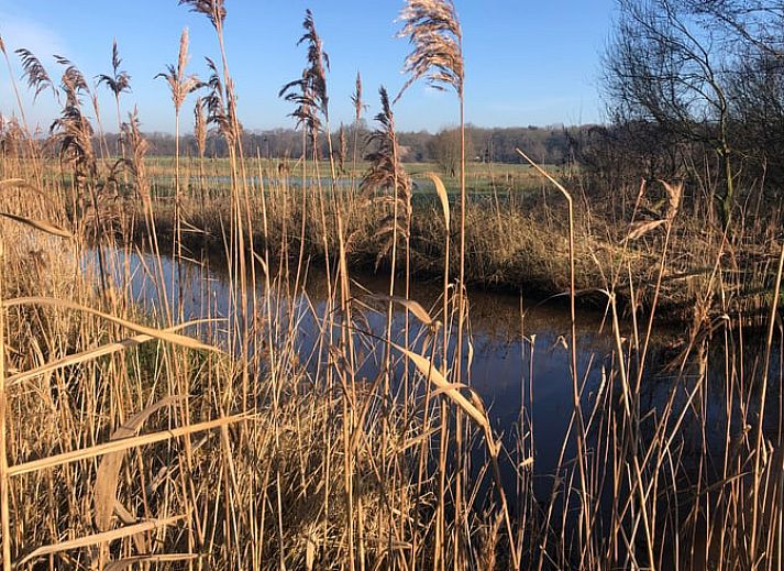 Charmant Vakantiehuisje in IJhorst met bankje voor de gevel, gelegen in Noordwest Overijssel, Overijssel.