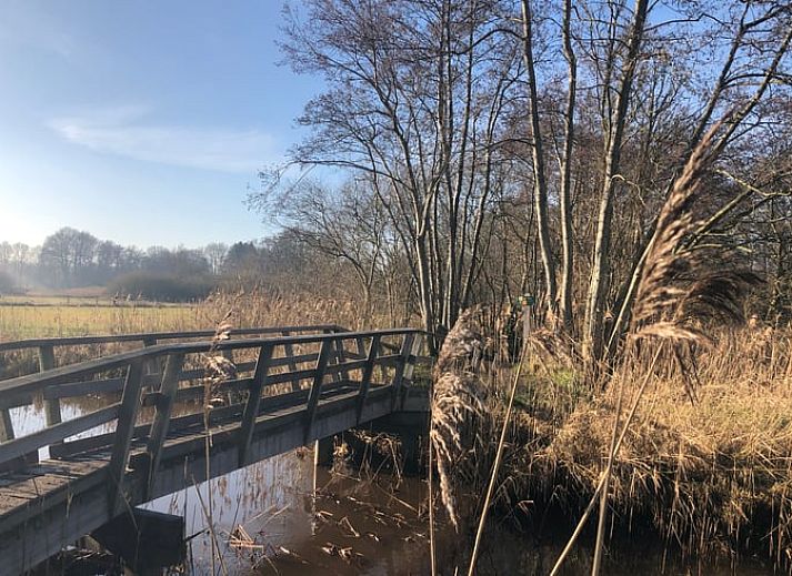 Charmant Vakantiehuisje in IJhorst met bankje voor de gevel, gelegen in Noordwest Overijssel, Overijssel.