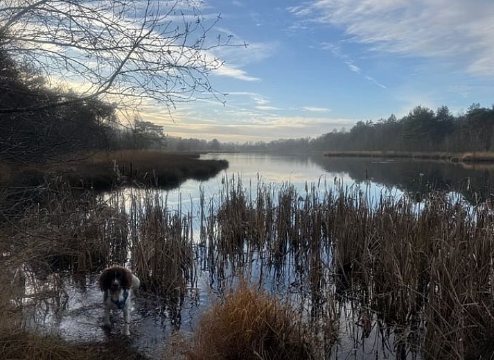 Gezellige zithoek op het terras van Vakantiehuisje in IJhorst, Noordwest Overijssel, Overijssel.