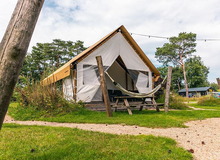 Guest house 551450 • Holiday property Noordwest Overijssel • Glampingtent 4