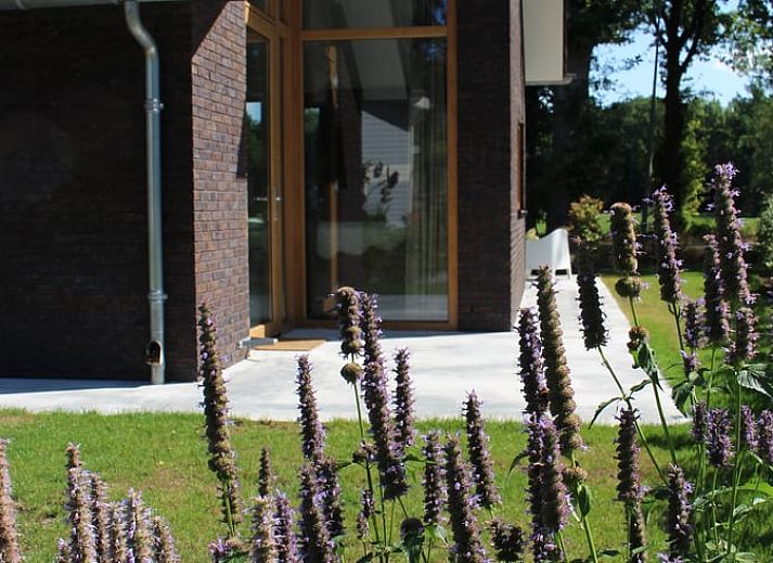 Vakantiehuis in IJhorst, een charmant vakantieverblijf in Noordwest Overijssel, omgeven door groene natuur en rustieke architectuur.