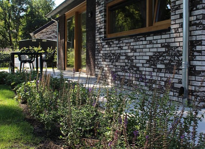 Vakantiehuis in IJhorst met zonnig terras en groene omgeving in Noordwest Overijssel, ideaal voor een ontspannen verblijf.