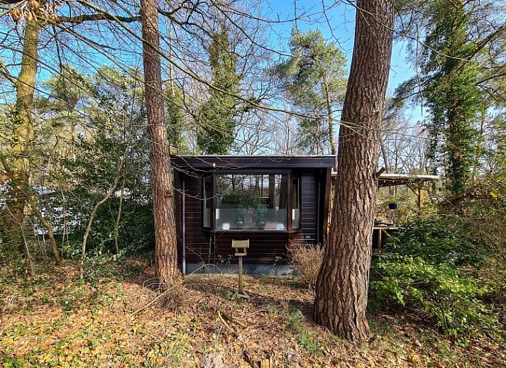 Guest house 551480 • Chalet Noordwest Overijssel • Chalet Boslust