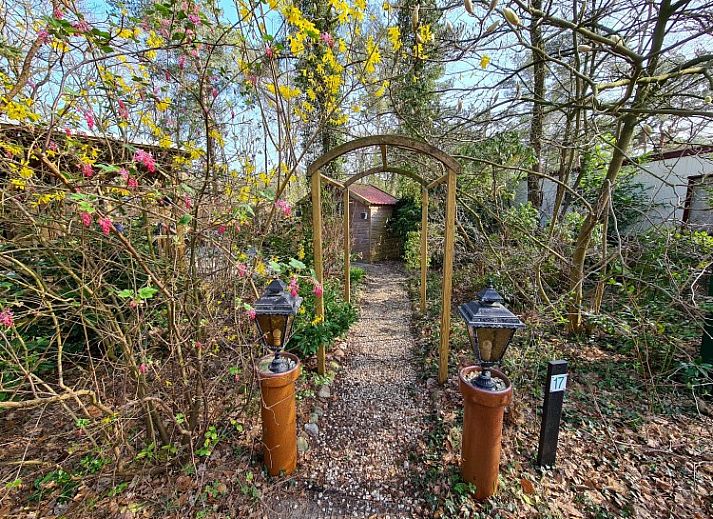 Chalet Boslust in IJhorst biedt een rustieke vakantiehuiservaring te midden van de natuur in Noordwest Overijssel.