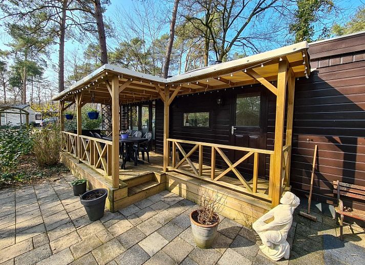 Chalet Boslust in IJhorst biedt een rustieke vakantiehuiservaring te midden van de natuur in Noordwest Overijssel.