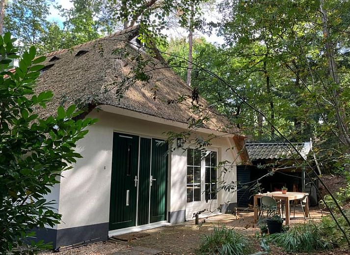 Unterkunft 551482 - Ferienhaus Noordwest Overijssel - Vakantiehuisje in IJhorst