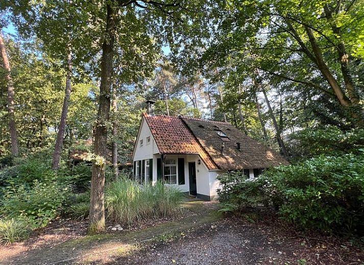 Unterkunft 551482 - Ferienhaus Noordwest Overijssel - Vakantiehuisje in IJhorst