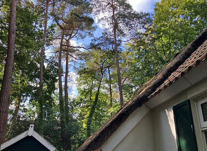 Unterkunft 551482 - Ferienhaus Noordwest Overijssel - Vakantiehuisje in IJhorst