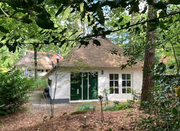 Unterkunft 551482 - Ferienhaus Noordwest Overijssel - Vakantiehuisje in IJhorst