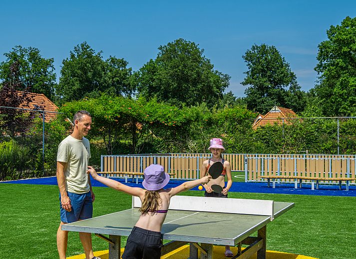 Verblijf 551484 - Vakantiewoning Noordwest Overijssel - EuroParcs Reestervallei