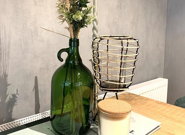 Guest house 551485 - Holiday property Noordwest Overijssel - Villa Fox