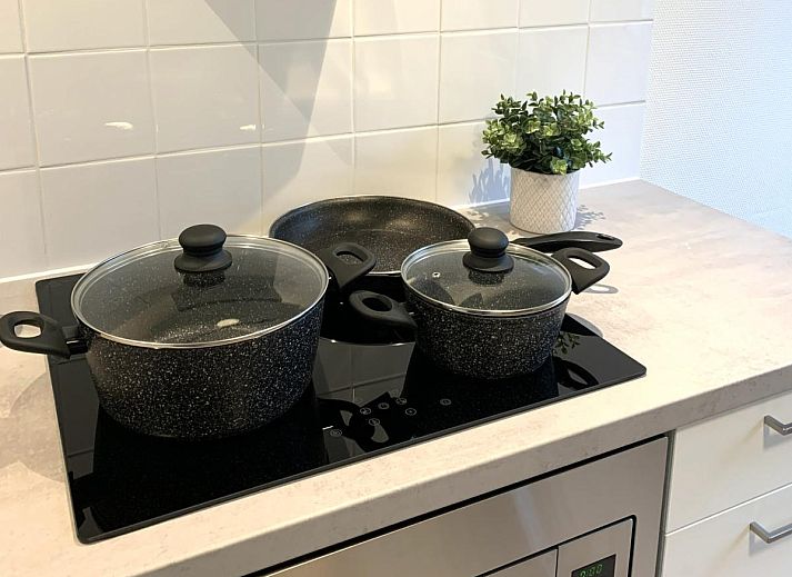 Guest house 551485 - Holiday property Noordwest Overijssel - Villa Fox