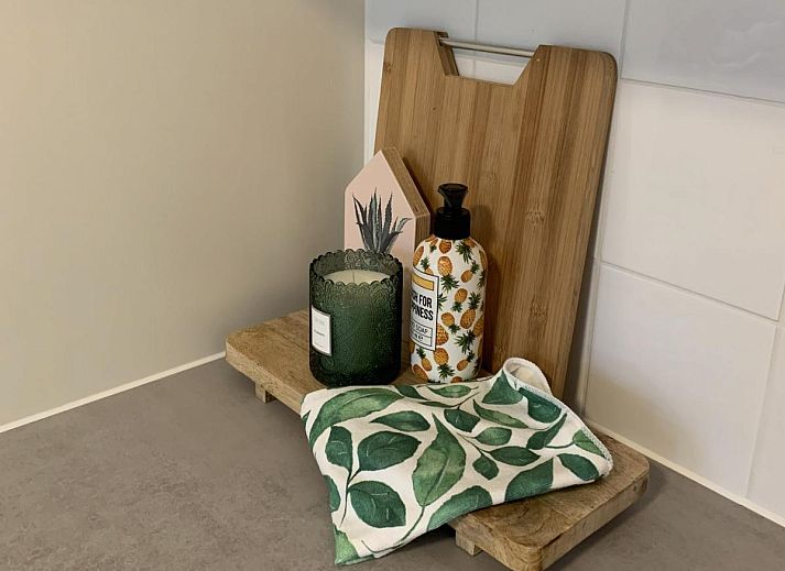 Guest house 551485 - Holiday property Noordwest Overijssel - Villa Fox