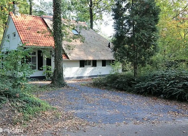 Unterkunft 551488 - Ferienhaus Noordwest Overijssel - De Witte Bergen