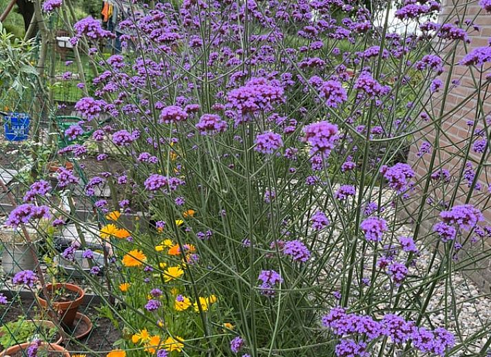 Charmante Eingangstuer des Ferienhauses in Kalenberg, umgeben von Natur.