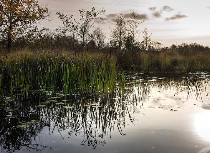 Gezellige keuken in Vakantiehuis in Kalenberg, Noordwest Overijssel, Overijssel.